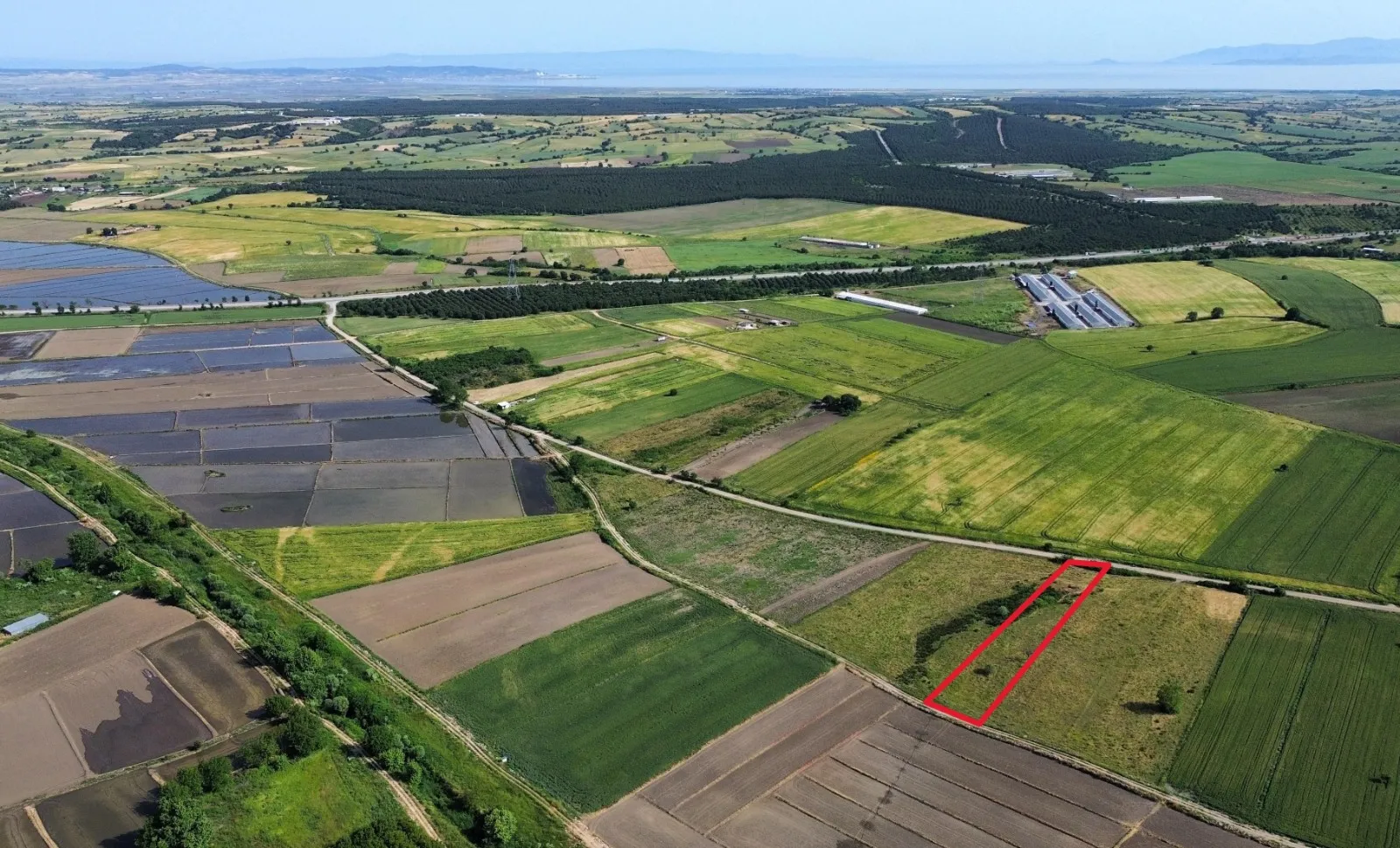 BİGA YUKARIDEMİRCİ'DE OTOYOL VE KÖYE YAKIN 4144 M2 SATILIK TARLA